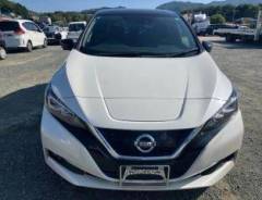 Nissan Leaf. ZE1, EM57 ����