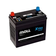 Moll