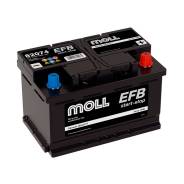 Moll
