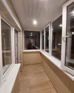 ���� ����������. ����