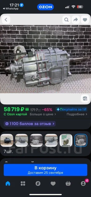 ��� ������ ����� ����