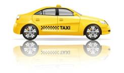 �������� �����. ������� �����. ���������� ����, ��������������� ��������� �����, �����������, ����� ������ 14 ����