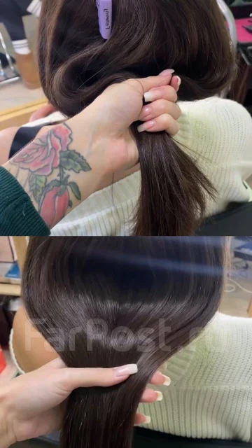����������� ����� ����