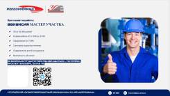 ������ �������. ����������� ������������������� �����-������ �� "������������". �������� ������� 19 ����