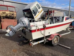 Yamaha Fish 17. 1987 ���, ����� 5,2��., ��������� ���������, 40��.�., ������ ����