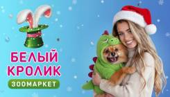 ��������-������-�������-���������. �� ��������� �.�. �������� 100-����� ������������ 32� ����