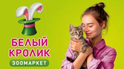 ���������. �� ��������� �.�. ����� ������ 32� ����