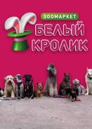 ��������-������. �� ��������� �.�. ����� �������� 230 ����