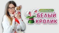 ��������-������. �� ��������� �.�. ����� ������ 9/1 ����