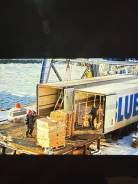 �������. ������ ���� �����������. �����������, ����� ��������� 25 ����