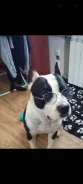 ������������ ��������������� ������. ����