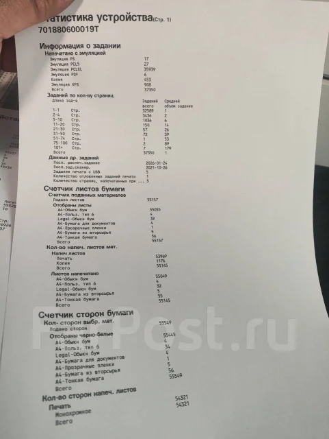��� ��������. ����