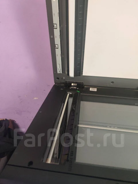 ��� ��������. ����