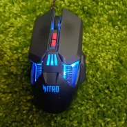 ���� �������. ����