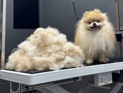 ������. �� �������� �.�. ����� ���������� 17 ����