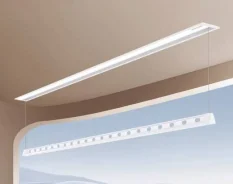 ������� �������������. ����