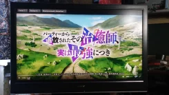 Sony. LCD (��) ����