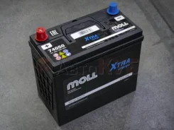 Moll. 50��.�., B24, 460��., ��������, ������������ ������. ��� ����� �� ����������� ����