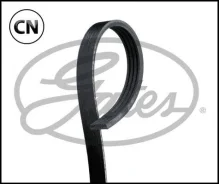 ������ ������������ 4PK698 XF48341 Gates 4PK698 4PK698 ����