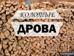 �����. ����