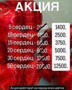 ���� ��������. ����