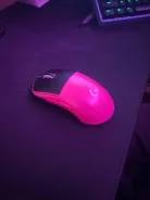 ���� �������. ����