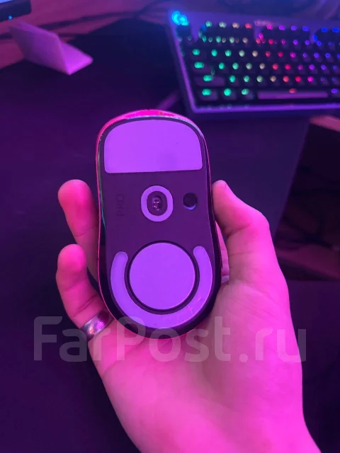 ���� �������. ����