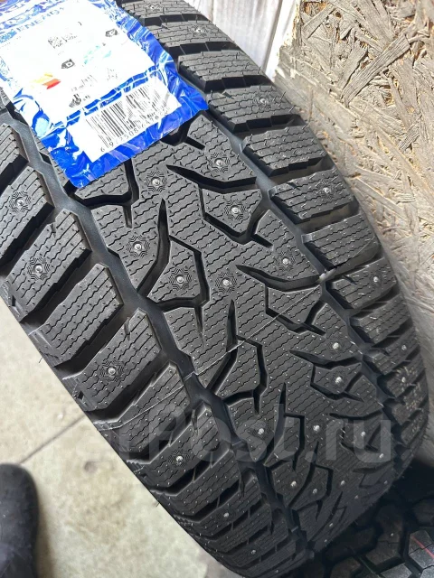 Compasal Winter Stud. ������, ����������, ����� ����