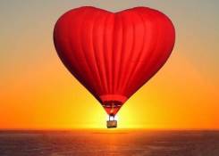 ������� �� 14 �������! ����� �� ��������� ����! ����������! ����