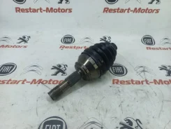 ���� �������� 71771459 71771459 ����