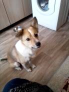 ��������� �����. �������������. ����� ������������ 41 ����