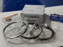 ������ ��������� Nissan 1203353F01 KA24DE 1203353F01 ����