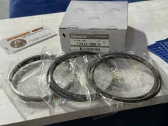 ������ ��������� Nissan 12033DB010 ZD30 12033DB010 ����
