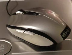 ���� ������������. ����