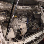 Toyota Ipsum ����