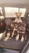 ������. ����