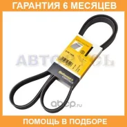 ������ ������������ Contitech / 6PK1555 �������� 6 ��� 6PK1555 ����
