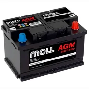 Moll. 70��.�., L3, 760��., ��������, ������������ ������ ����