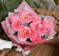 ����. ����