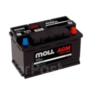Moll. 80��.�., L4, 800��., ��������, ������������ ������ ����