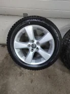 Pirelli Ceat Formula Winter. ������, ����������, 2025 ���, �/�, ����� �� 5 % ����