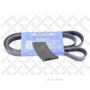 ������ ������������ 6PK1185 VW Polo 1.4/1.6 97-02, Seat Ibiza/Cordoba 1.0-1.6 94 0601185SX ����