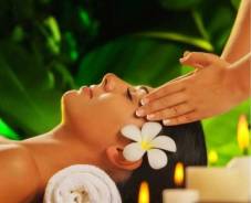 �������������. ����, ����� �������. ����� ������������ 23 ����