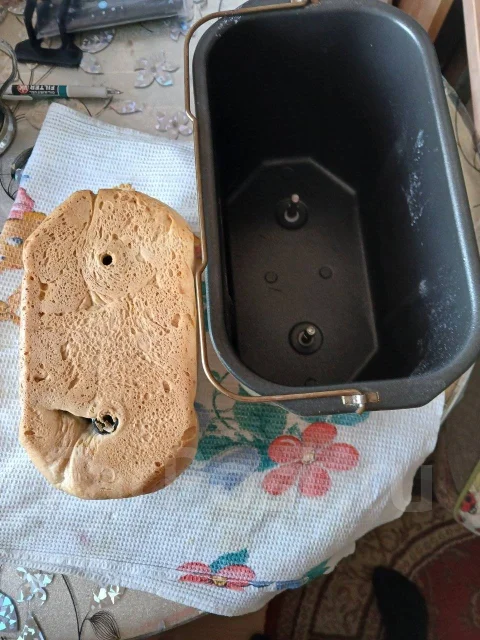 ����������. ����