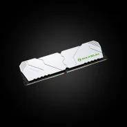 DDR5. ����