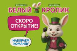 ��������-������. �� ��������� �.�. �������� 100-����� ������������ 68 ����