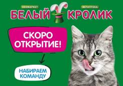 ������������� ��������. �� ��������� �.�. �������� 100-����� ������������ 68 ����