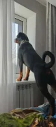 ����� �����. ����