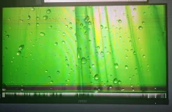 MSI. 24" ����