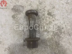 ������� ������ DAF XF105 1309191 1309191 ����